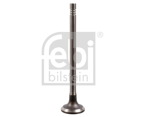 Intake Valve